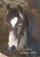 Tinker-Kalender 2007